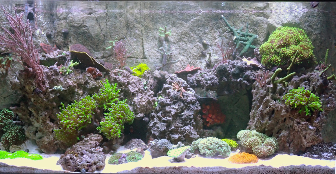FTS.jpg