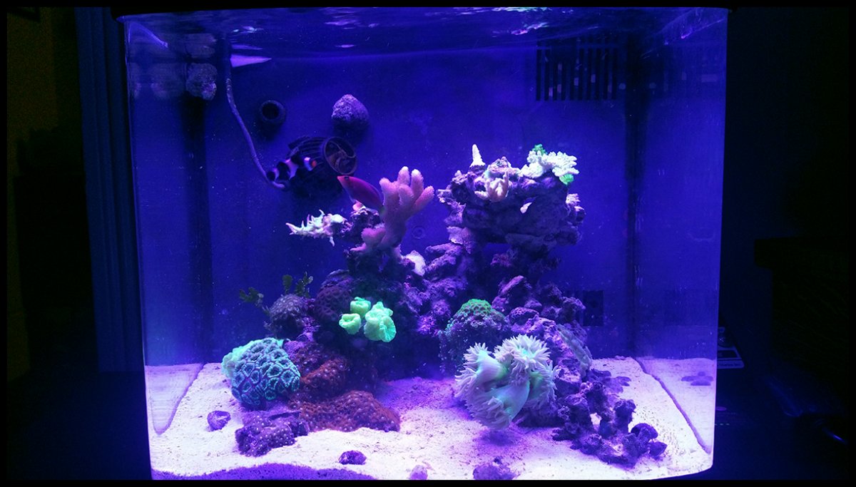 fts.jpg
