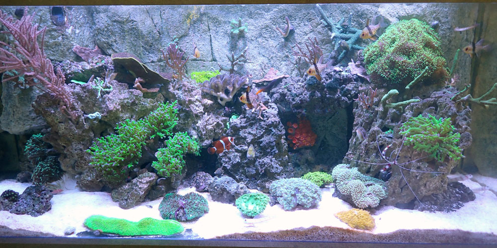 FTS.jpg