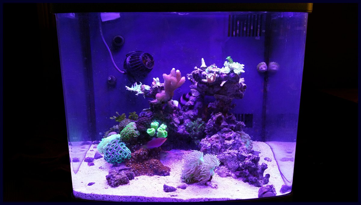 fts.jpg