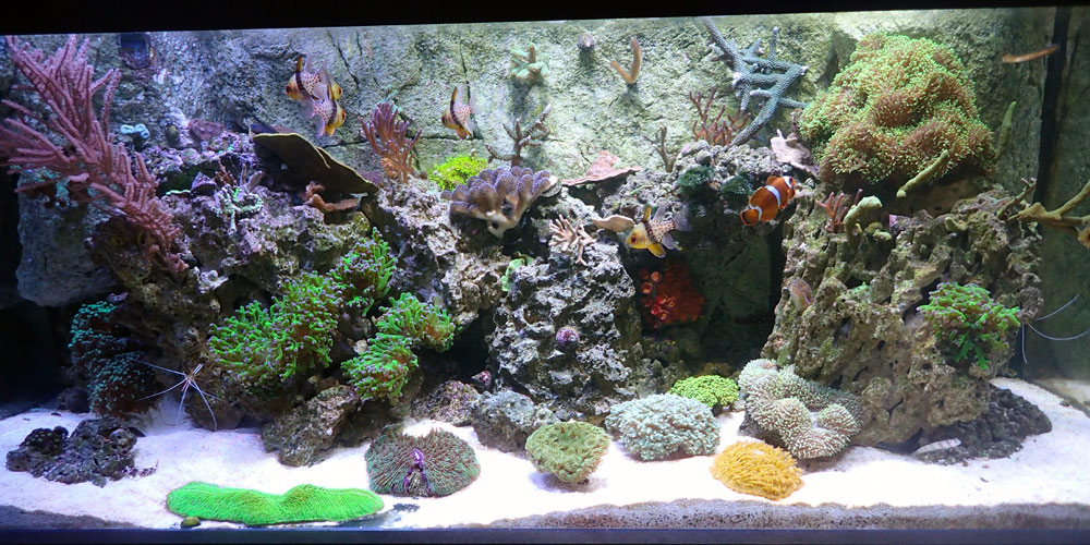 FTS.jpg