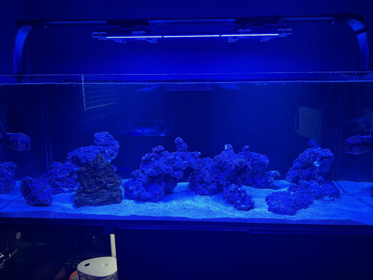 FTS.jpg