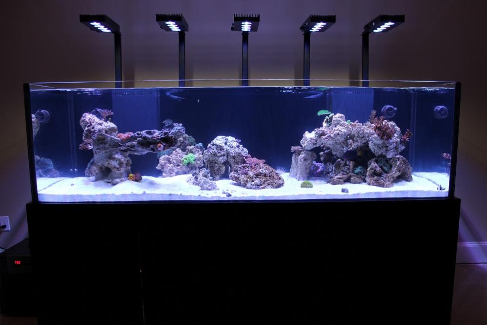 FTS.jpg