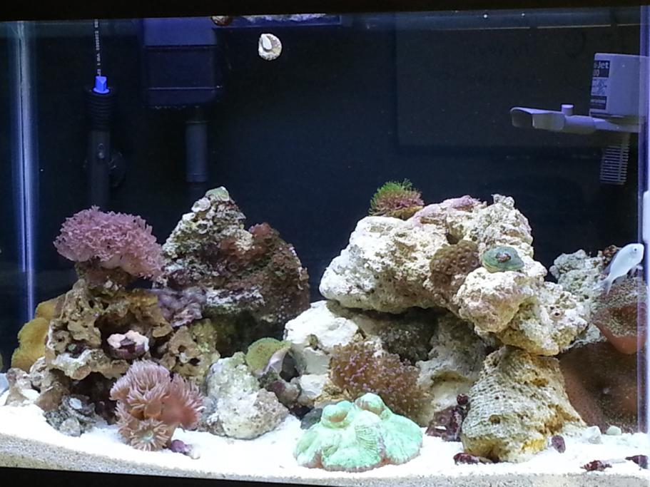 FTS.jpg