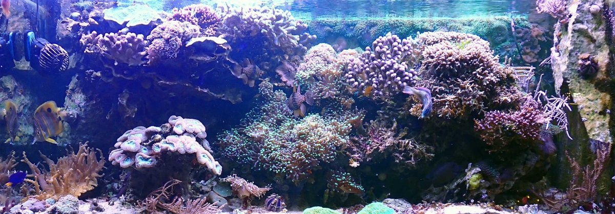 FTS.jpg