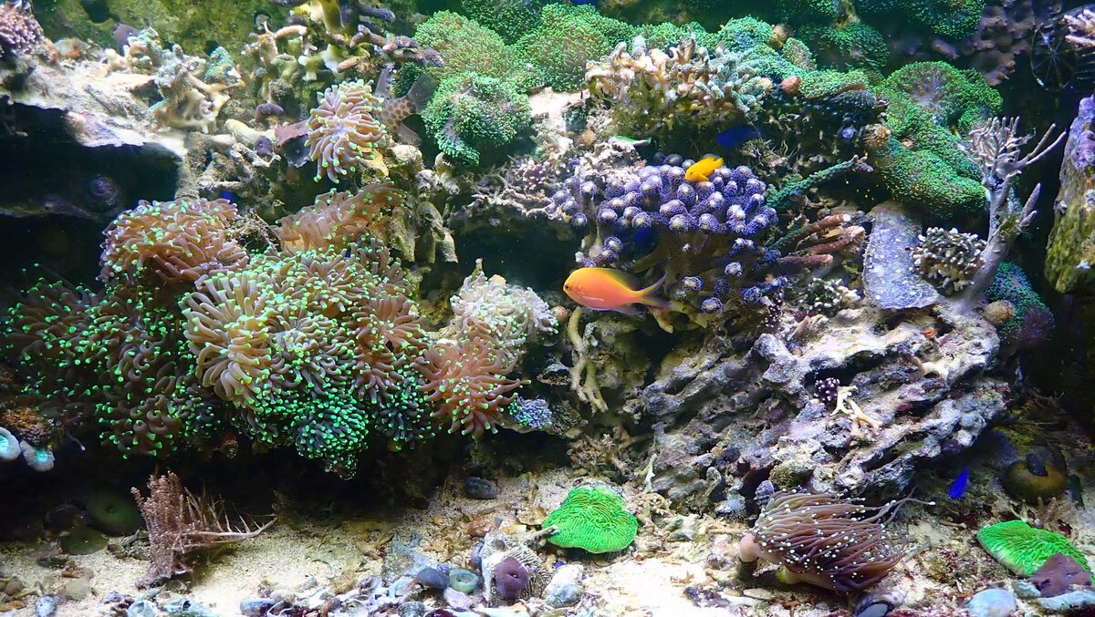 FTS.jpg