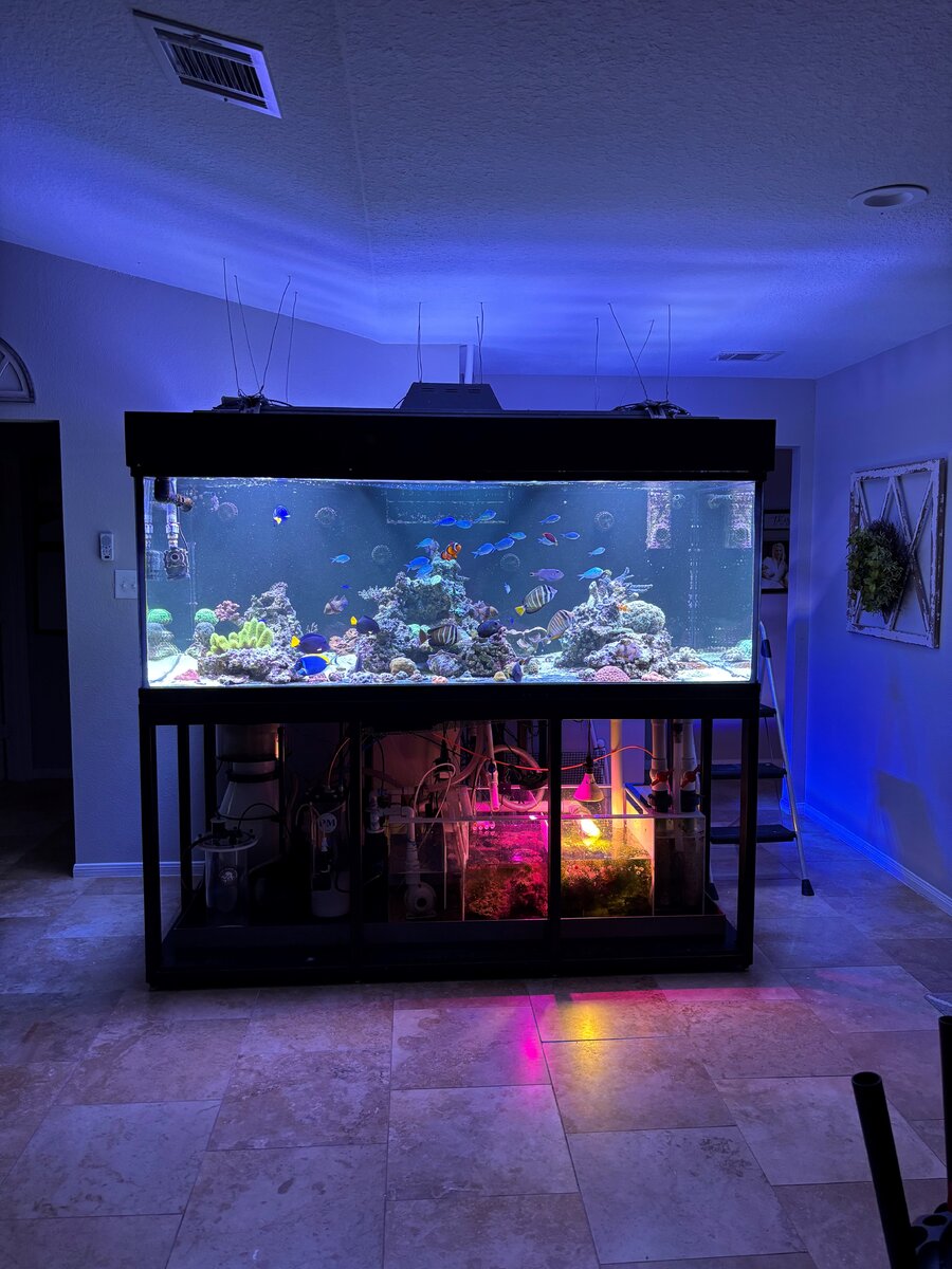 fts.jpg