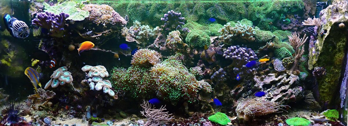 FTS.jpg
