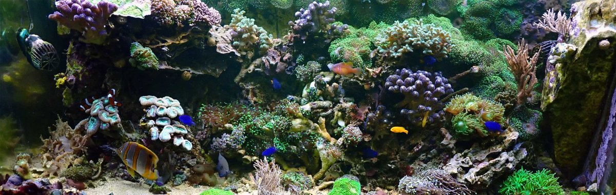 FTS.jpg
