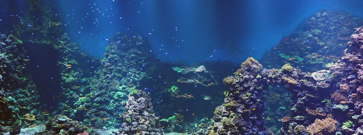 FTS.jpg