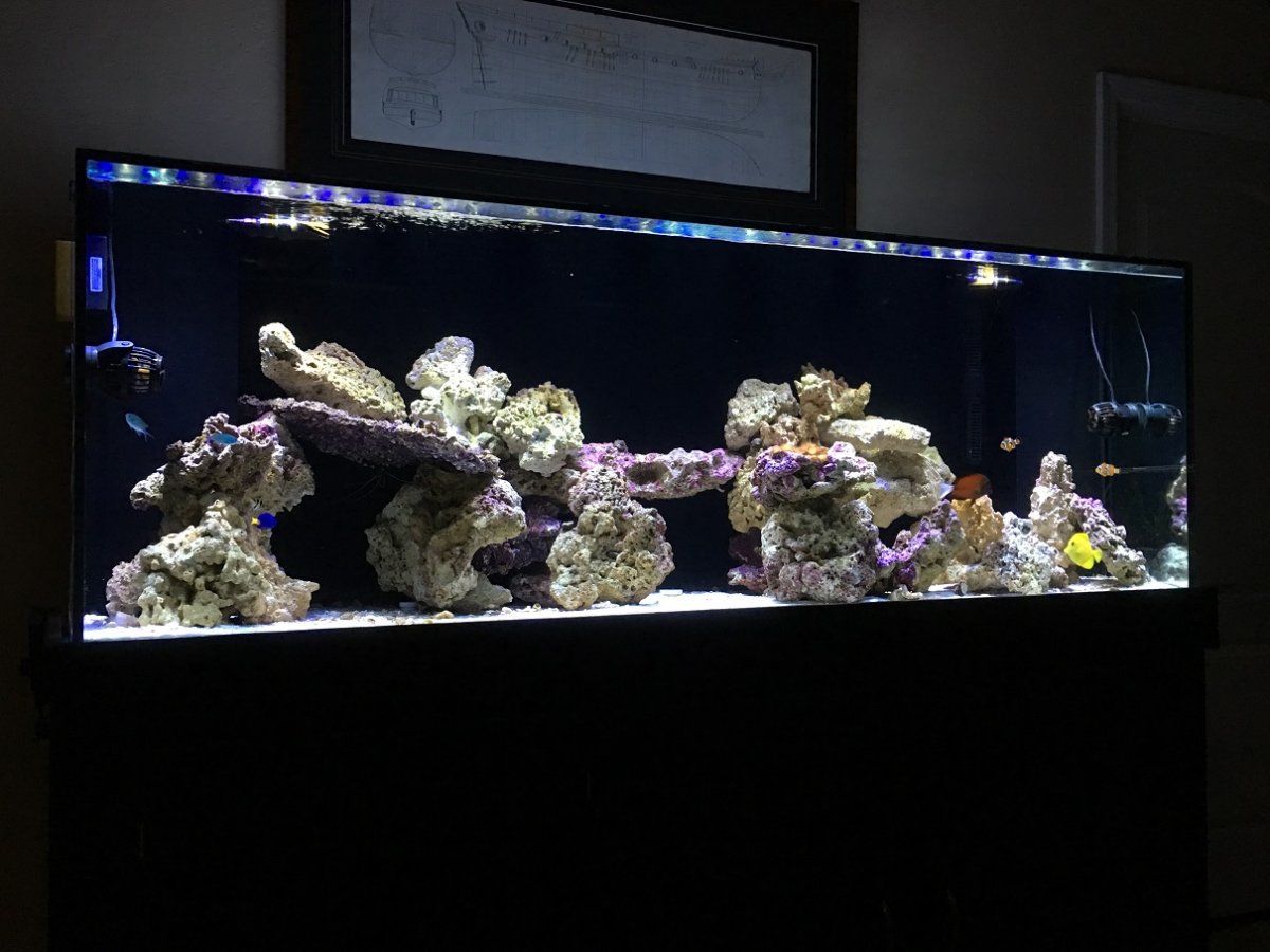 FTS.jpg