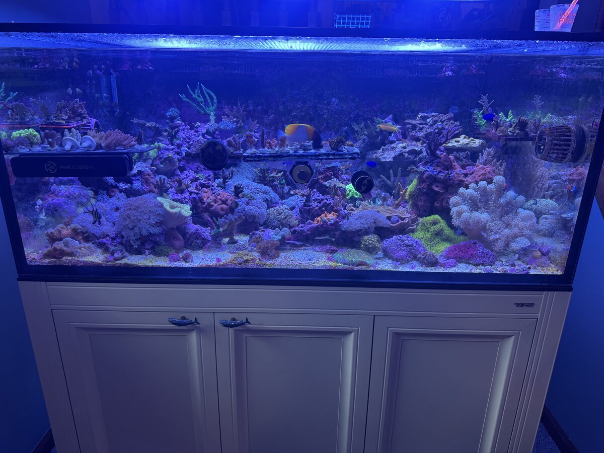 FTS.jpg
