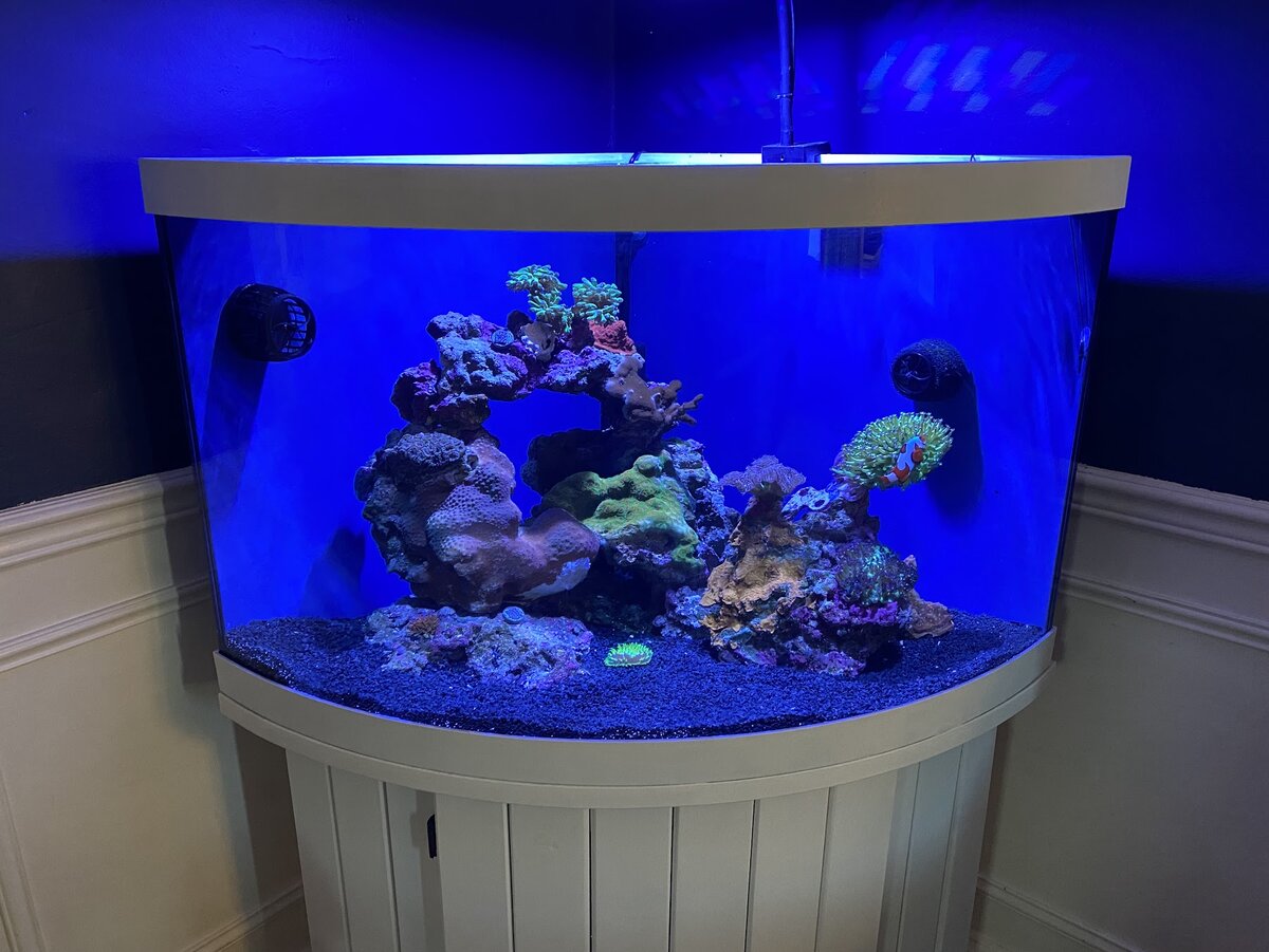 FTS.jpg