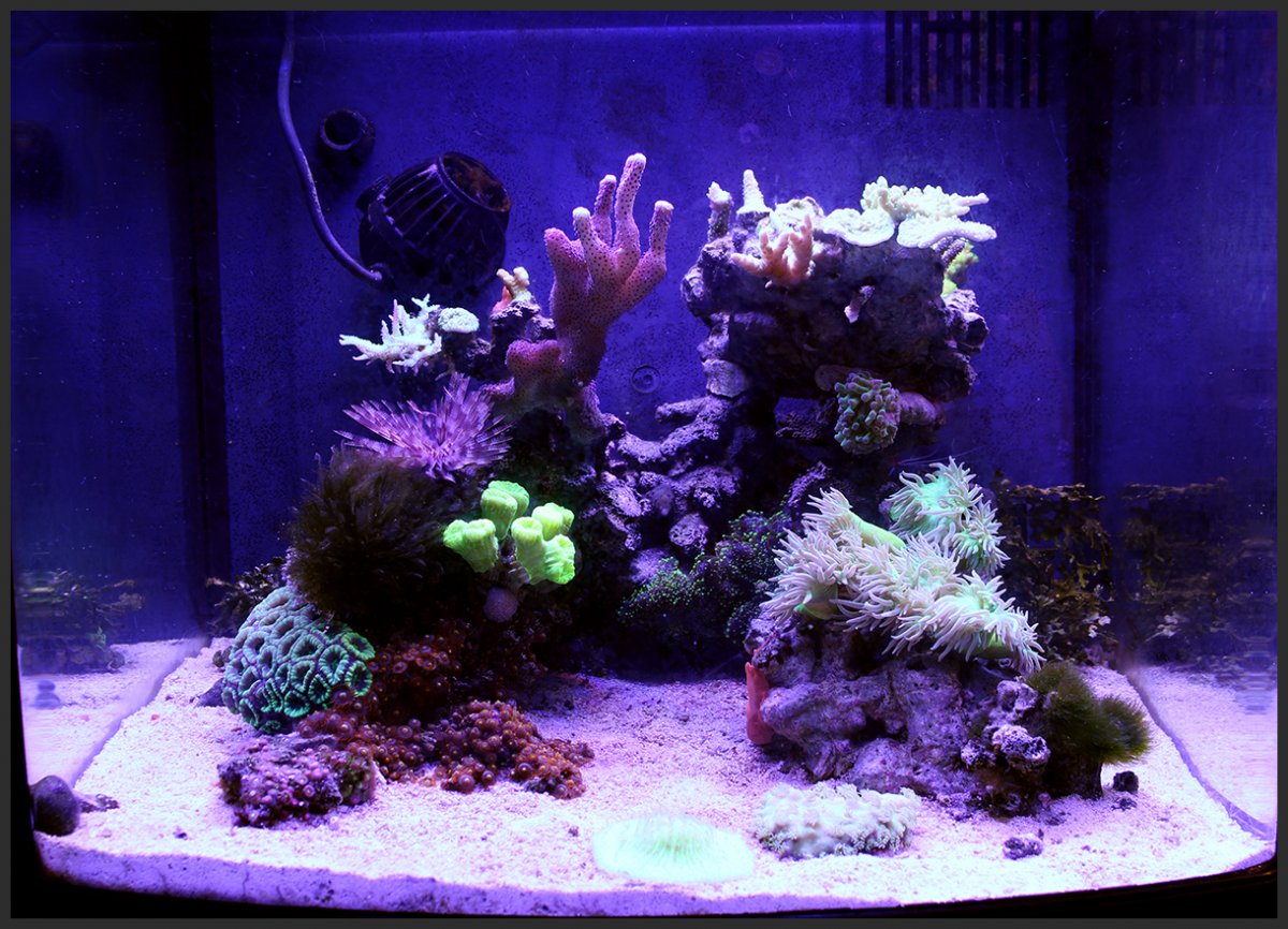 fts.jpg