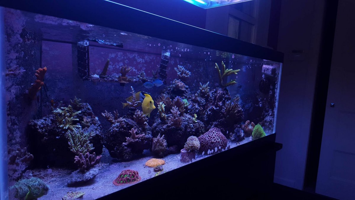 FTS.jpg