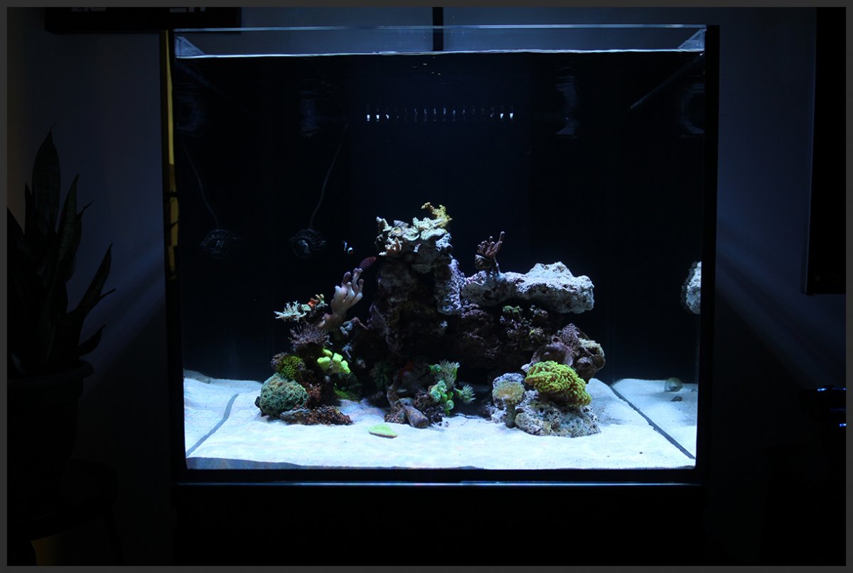 fts.jpg