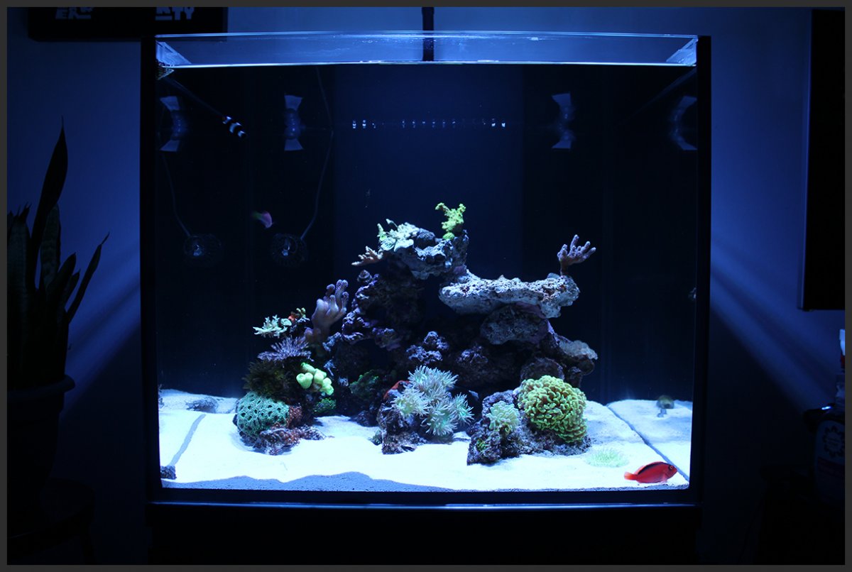 fts.jpg