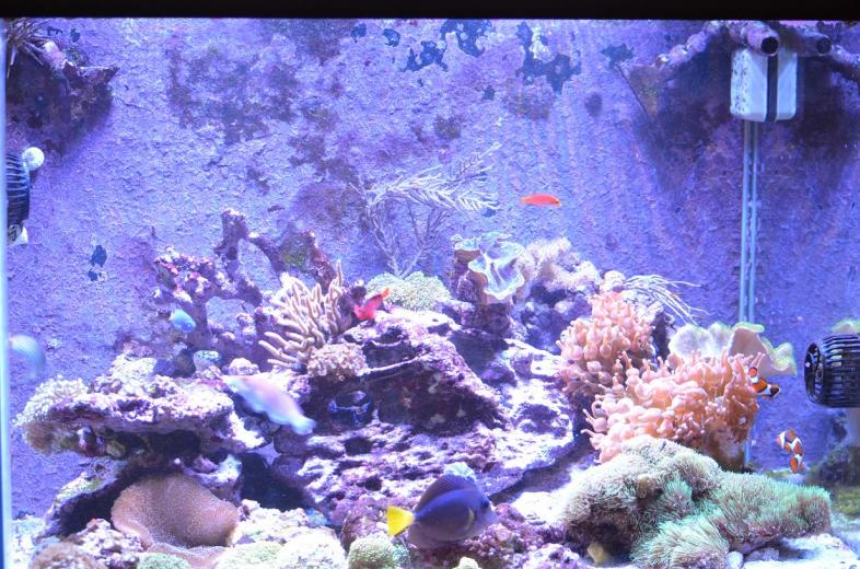 FTS.jpg