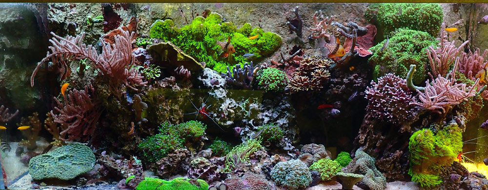 FTS.jpg