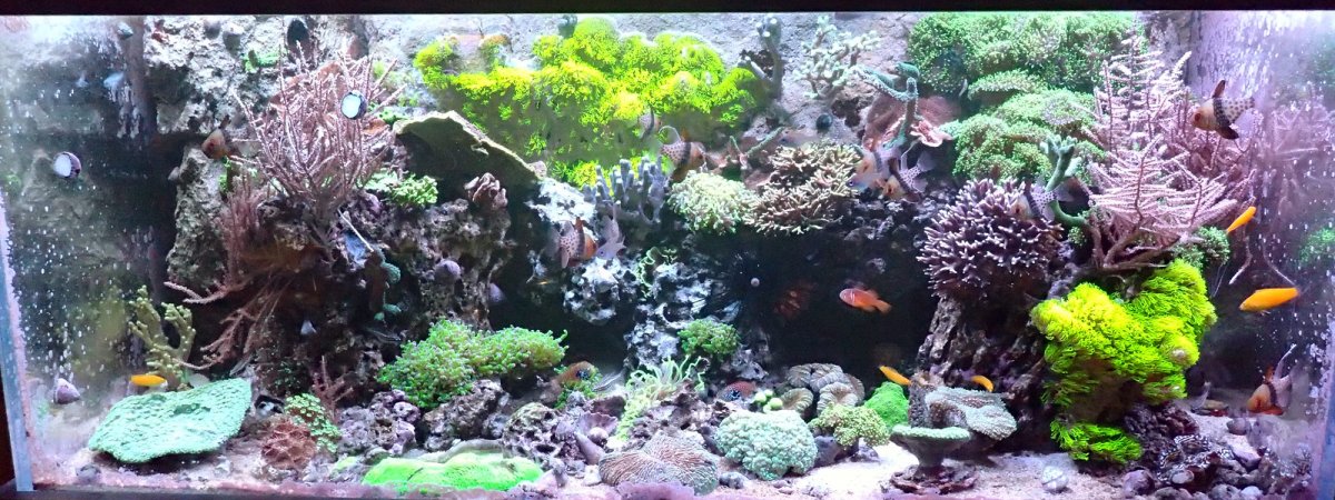 FTS.jpg