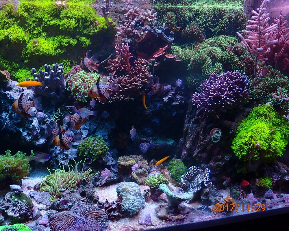 FTS.jpg