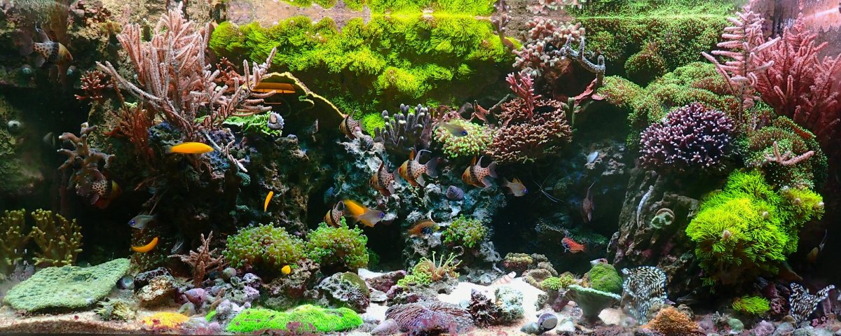 FTS.jpg