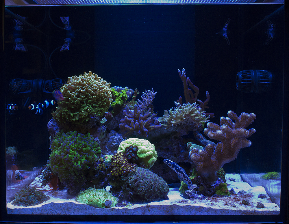 FTS.jpg
