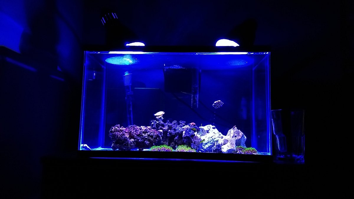 FTS.JPG