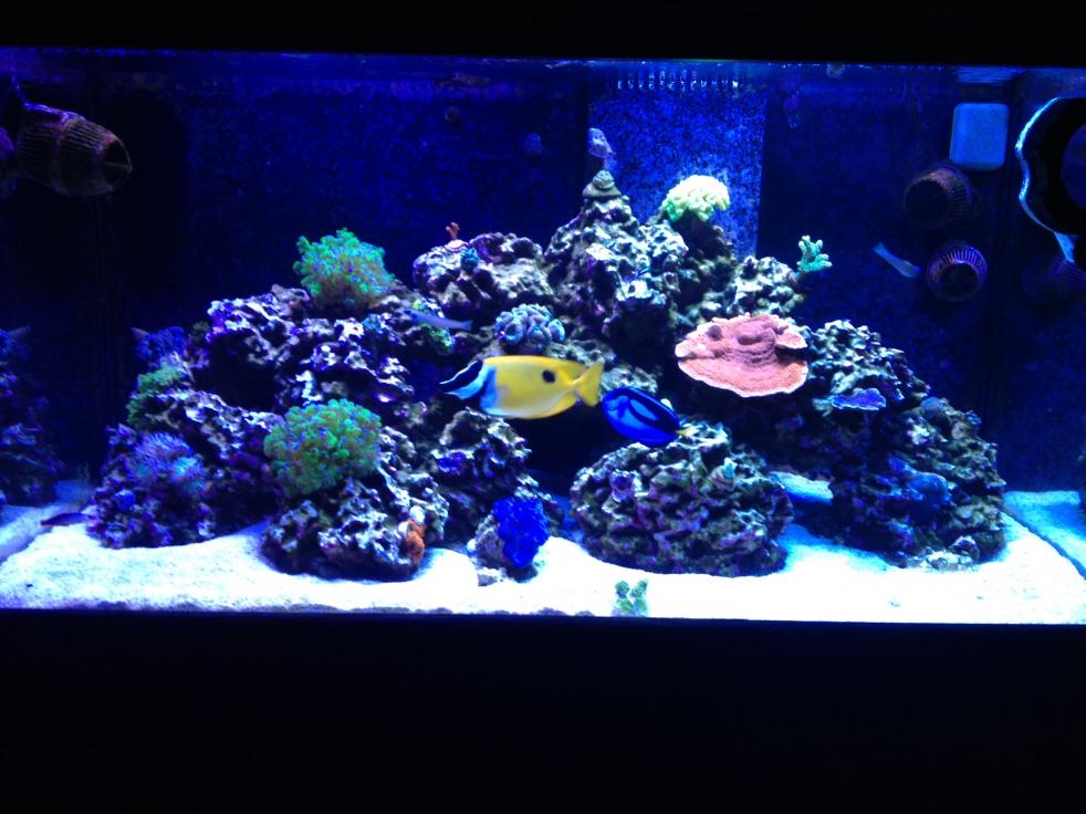 FTS.jpg