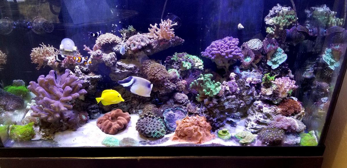 FTS.jpg