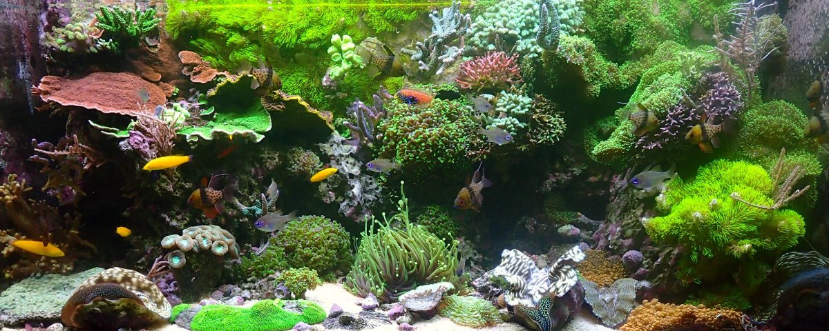 fts.jpg