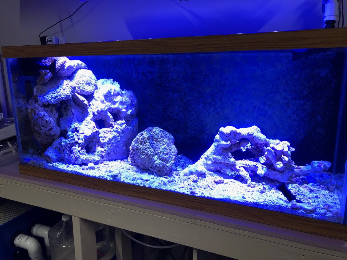 fts.JPG