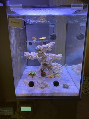 FTS Left.jpg