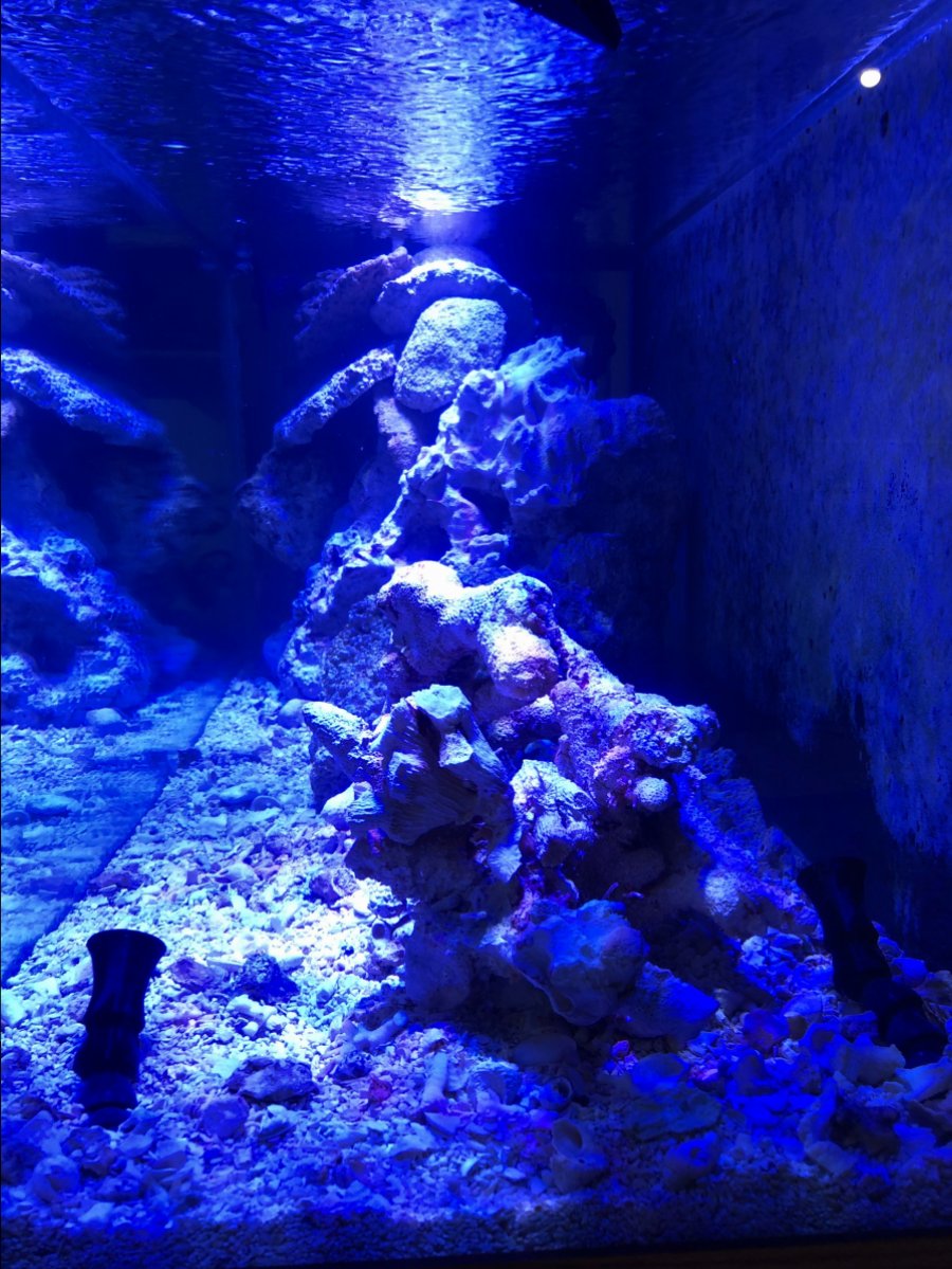 fts - length.JPG
