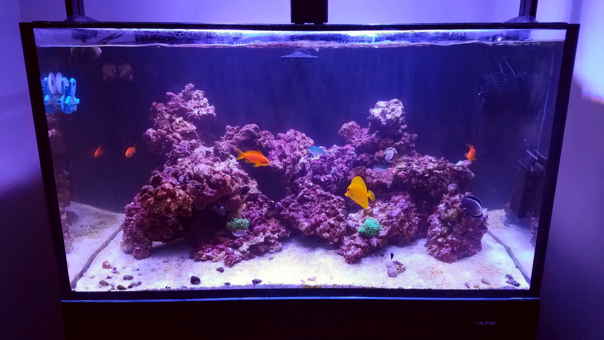 FTS.png