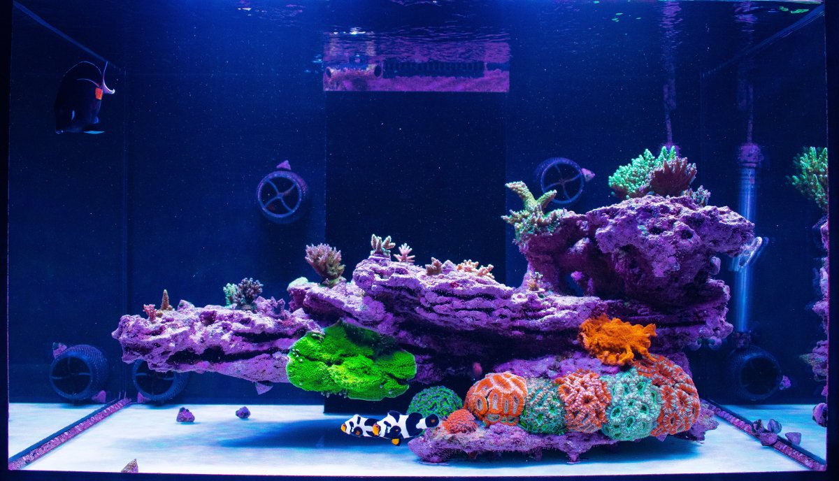 FTS Reefer 3.11.2022 small.jpg