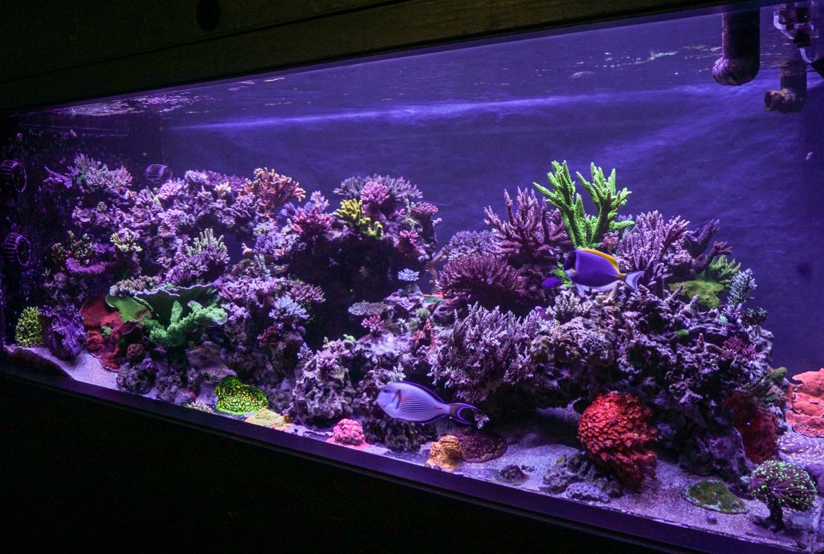 FTS Right Angle-04352.jpg