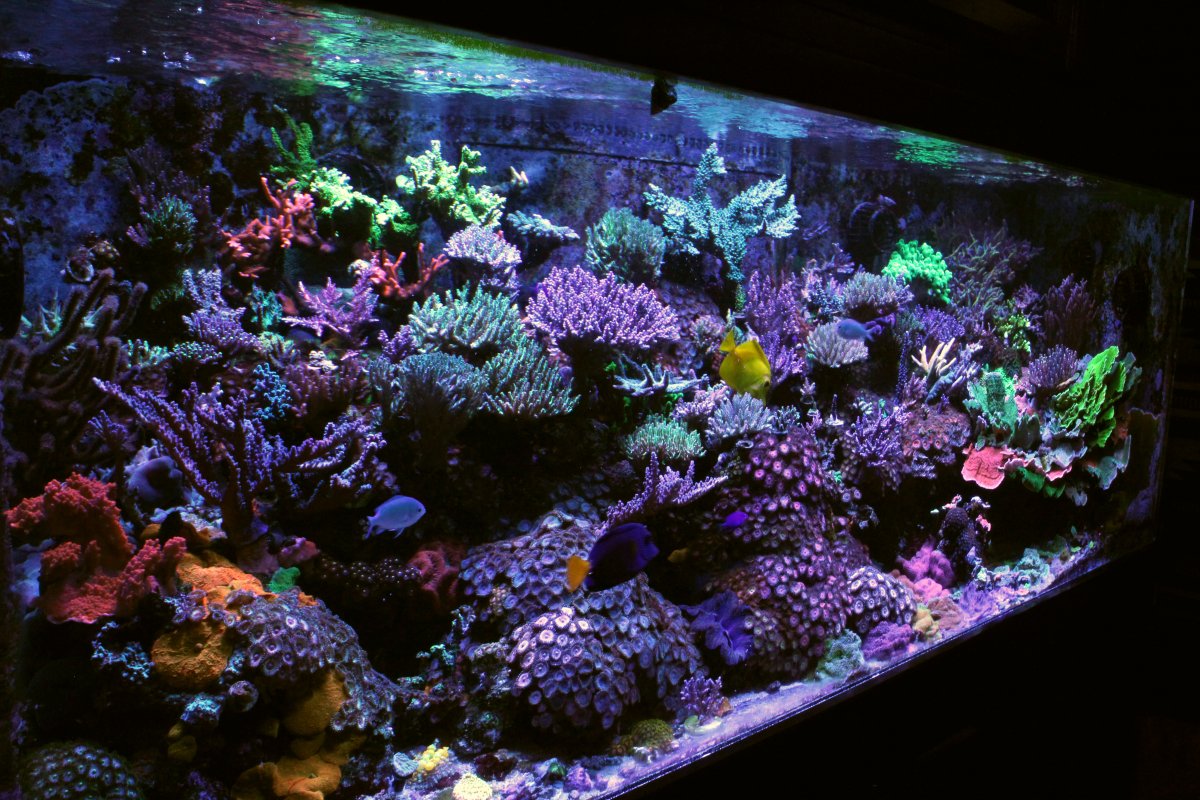 FTS Right End 2-25-2019.jpg