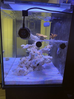 FTS Right.jpg
