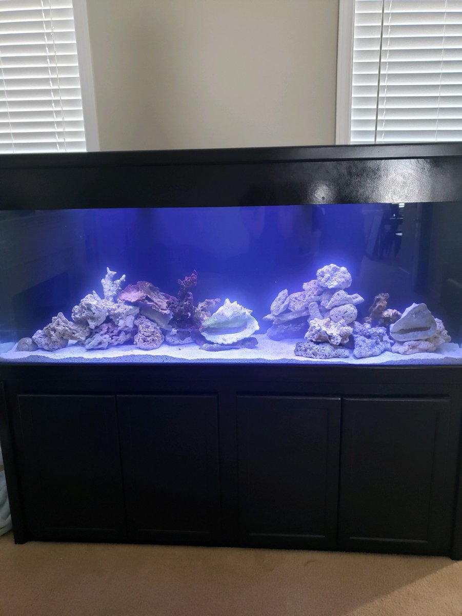 FTS Rocks2.JPG