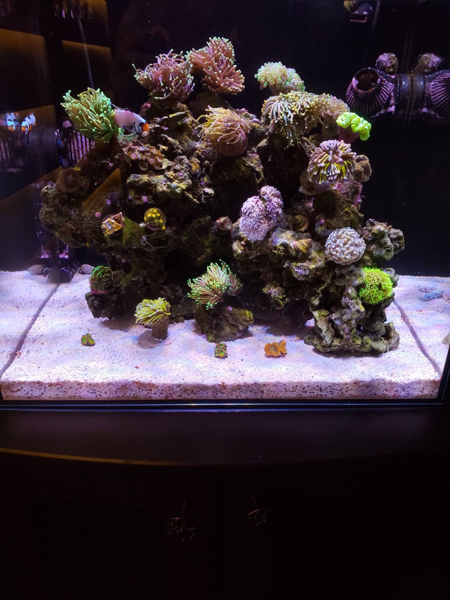 FTS Up Close.jpg