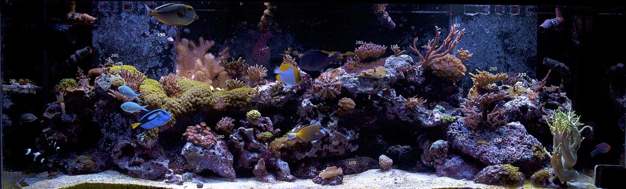 FTS with Par.jpg