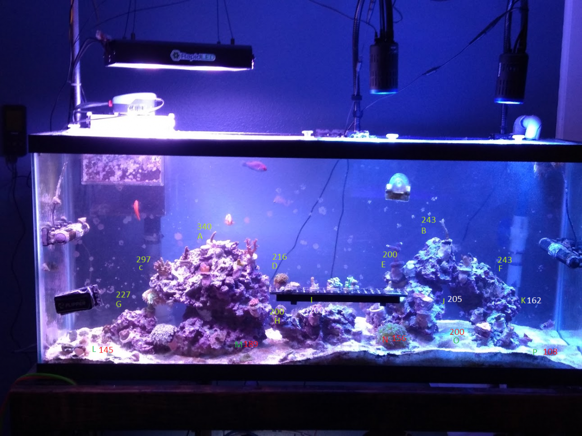 FTS with PAR.png