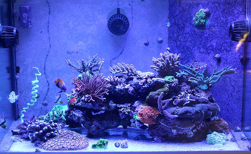 fts0318.jpg