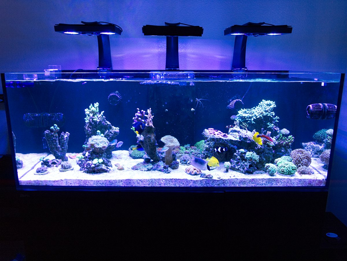 FTS061317.jpg