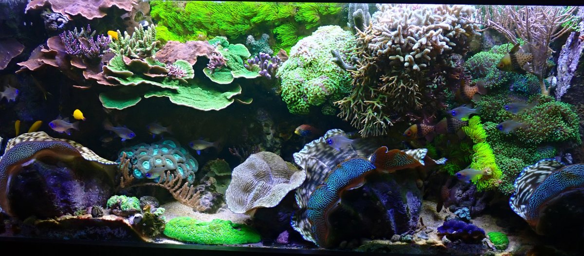 fts1.jpg