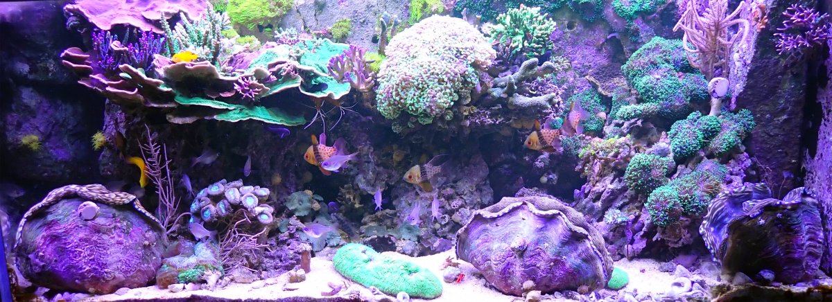 FTS1.jpg