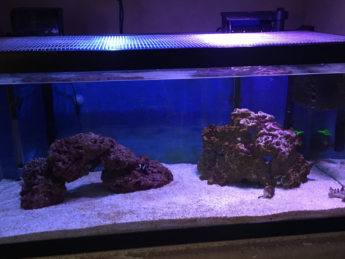 FTS1.JPG