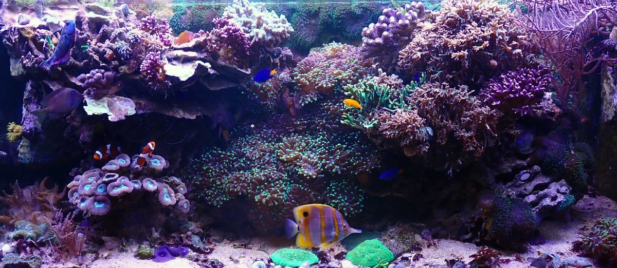 FTS1.jpg