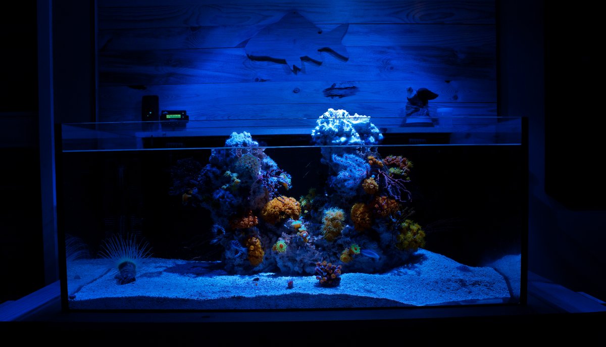 FTS1.jpg